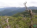 thn_NZ leden-unor 2006 161.jpg